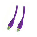 kt.net. RJ45 10米 紫