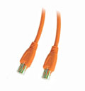 kt.net. RJ45 15米 橘