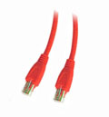 kt.net. RJ45 20米 紅