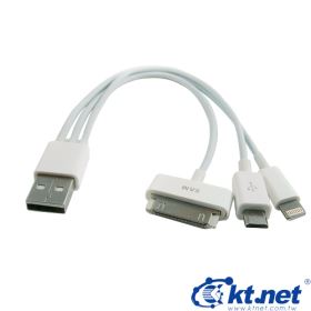 USB A公轉Apple 30pin/Apple 8pin/MicroUSB 1分3轉接線20cm